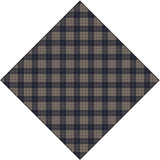 Redgreen Women RG_Robbie Scarf 268 Navy Check